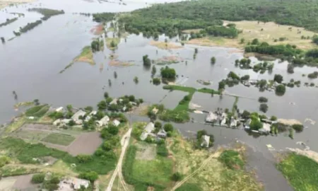 Мешканцям Миколаївщини компенсують втрачений врожай овочів через росіян