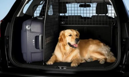 Верховна Рада планує ввести нові штрафи для водіїв