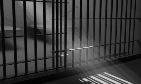 Жительку Миколаївщини позбавлять волі за звинувачення ЗСУ в обстрілах житлових будинків