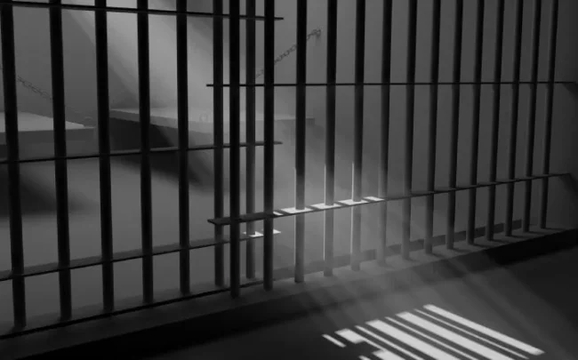 Жительку Миколаївщини позбавлять волі за звинувачення ЗСУ в обстрілах житлових будинків