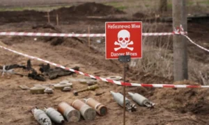 На Миколаївщині чоловік пішов по дрова та підірвався на міні