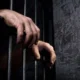 Жителя Миколаївщини будуть судити за допомогу окупантам у катуванні мирного населення