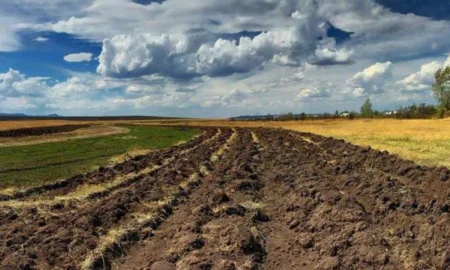 На Миколаївщині власниками п’яти земельних ділянок виявилися росіяни