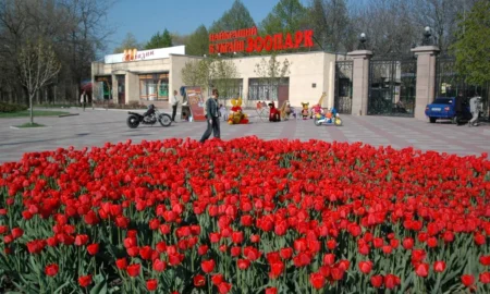 Зоопарк Миколаєва / фото ілюстроване