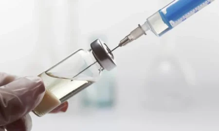 Щеплення / фото ілюстроване