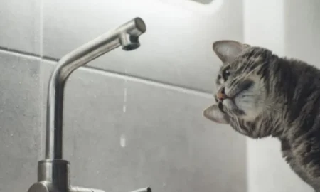 Відсутність водопостачання / фото ілюстроване