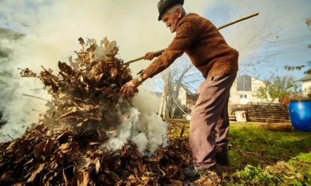 Спалення листя / фото ілюстроване