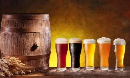 Крафтове пиво та сир: магія дріжджів та якісного обладнання
