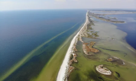 Кінбурнська коса / фото wikipedia.org