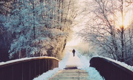 Зима / фото ілюстроване pixabay.com