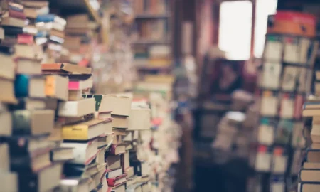 Освіта / фото ілюстроване pixabay.com