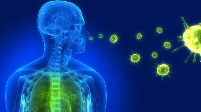 Як захистити себе під час сезонних захворювань?