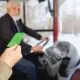 Що таке зелена карта на авто та як її оформити?