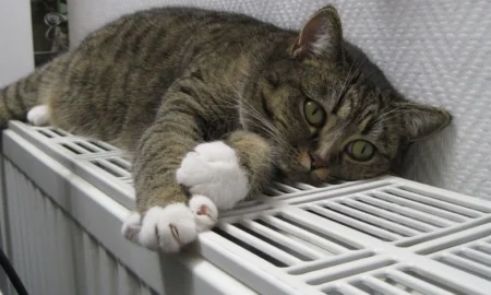 Опалювальний сезон