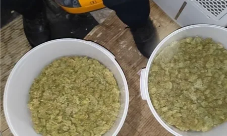 Вилучені речовини