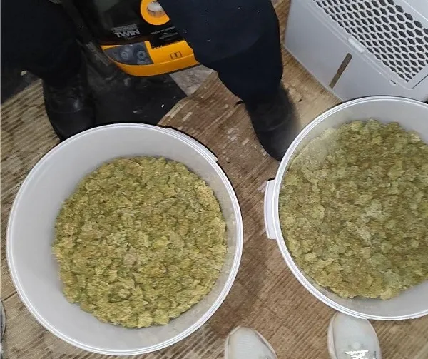 Вилучені речовини