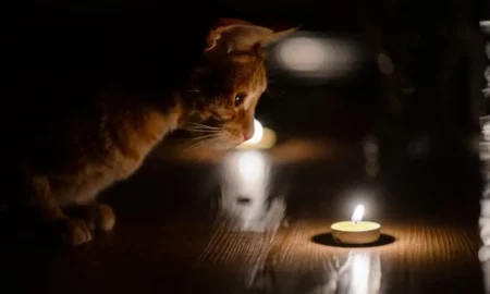 Відключення світла