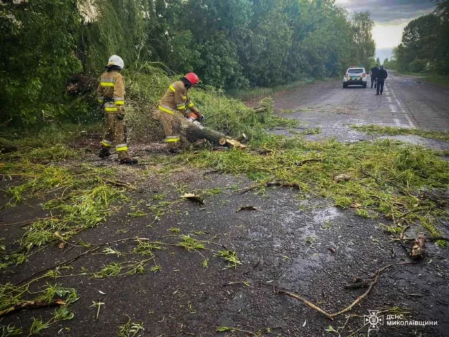 Наслідки негоди