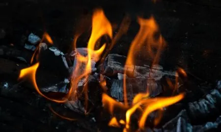 Машини для пакування паливних брикетів та їхні переваги