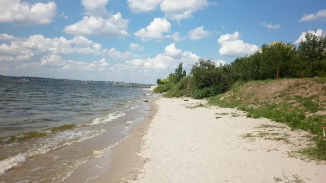 Намив