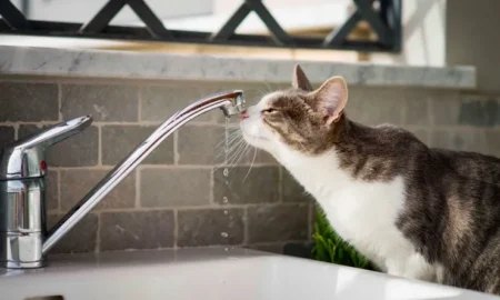 Водопостачання