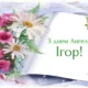День ангела Ігоря