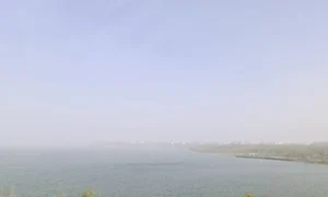 Пилова буря