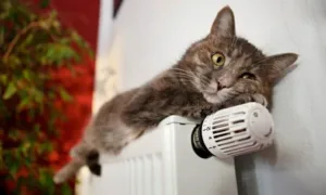 Опалення