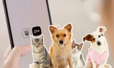 Реєстр домашніх тварин