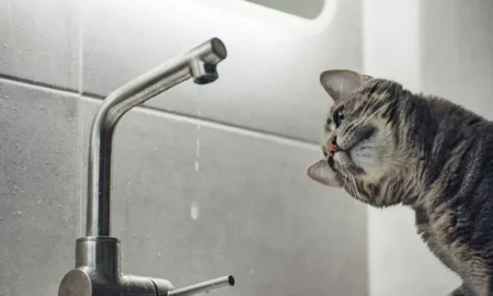 Відключення води