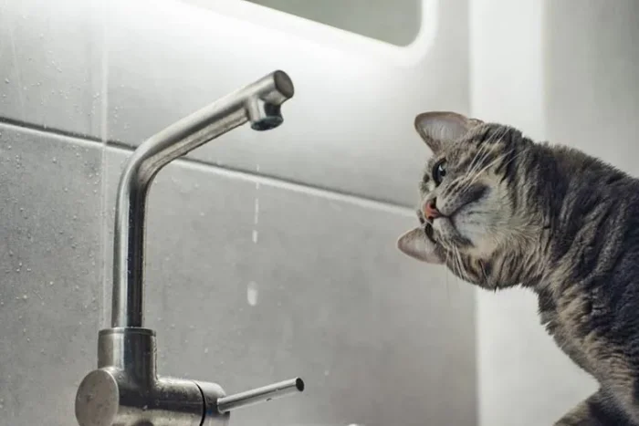 Відключення води