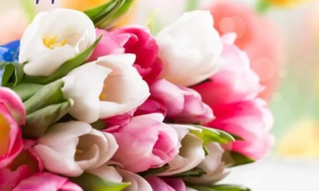 День бухгалтера