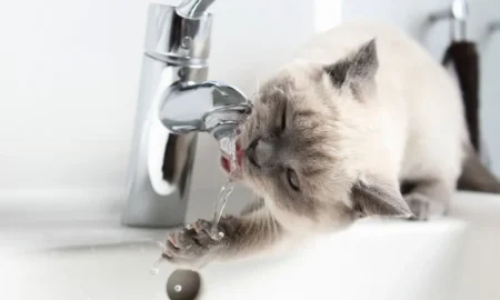 Відключення води