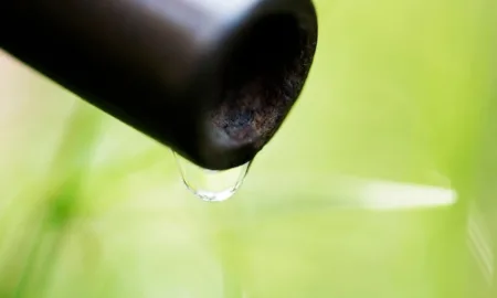 Уход за растениями с использованием капельной ленты