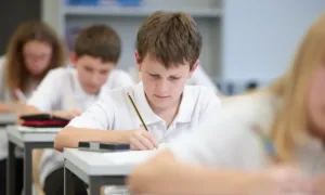 Тестування для школярів