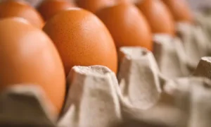 Падіння ціни на яйця в Україні