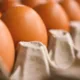 Падіння ціни на яйця в Україні