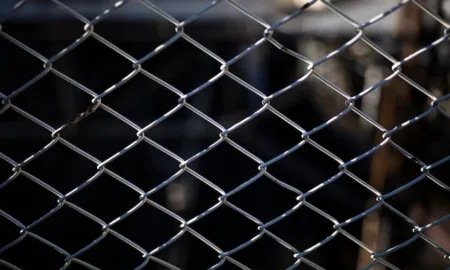 Оцинкованная сетка