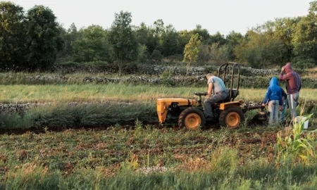 Покришки до мотоблока: основні види, призначення та рекомендації щодо вибору