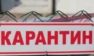 Карантин