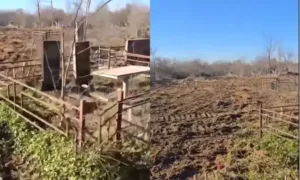 Кладовище