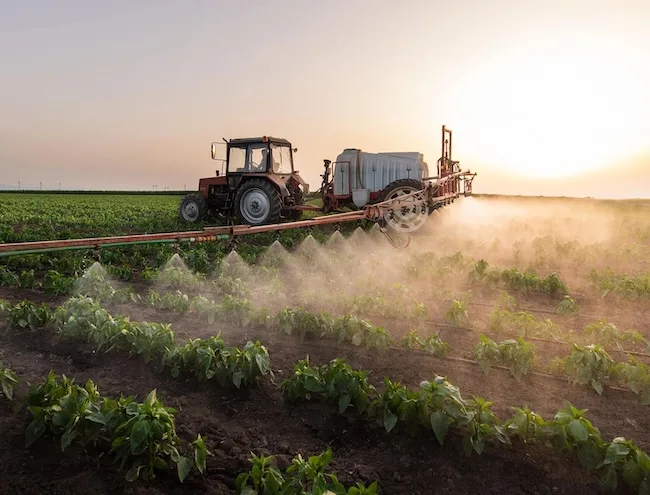 Коли потрібні протруйники