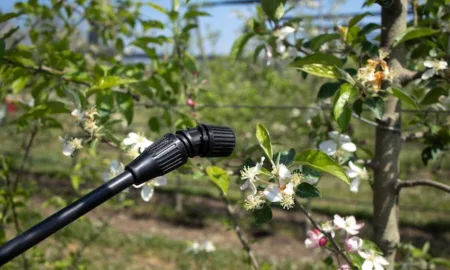 Що таке обприскувач садовий від ТОВ Агропласт та як ним правильно користуватися?