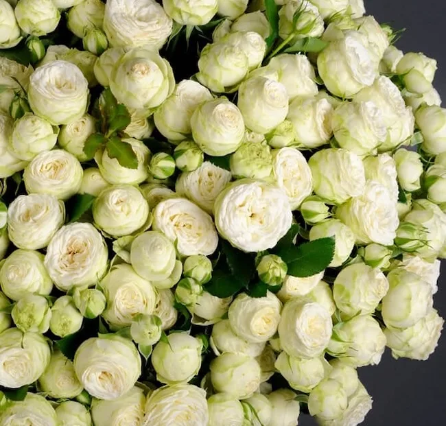 Якими мають бути ідеальні букети на 14 лютого?