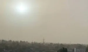 Пилова буря