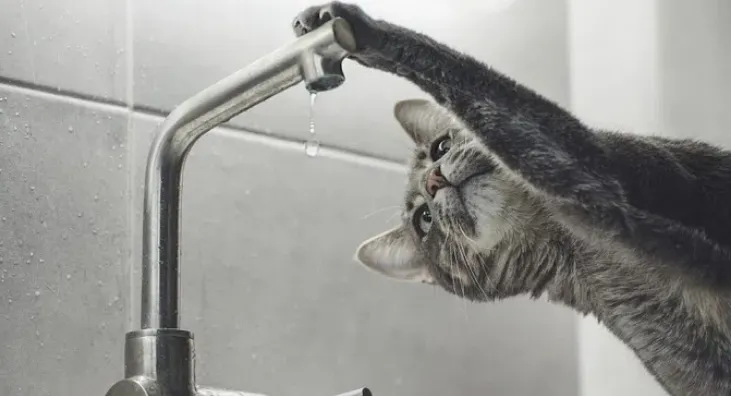 Відключення води