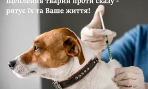 Щеплення від сказу