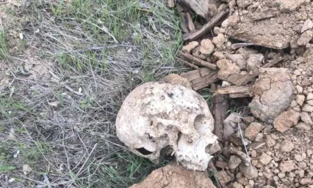 Кладовище у Миколаєві