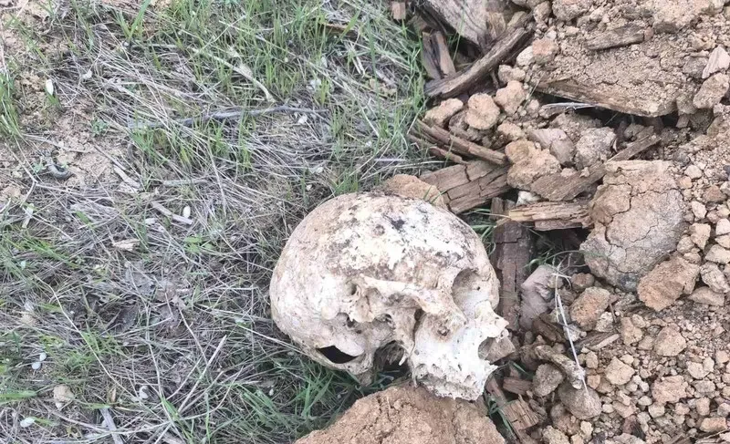 Кладовище у Миколаєві