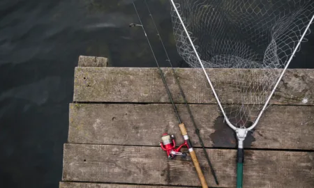 Кормушки для рыбы